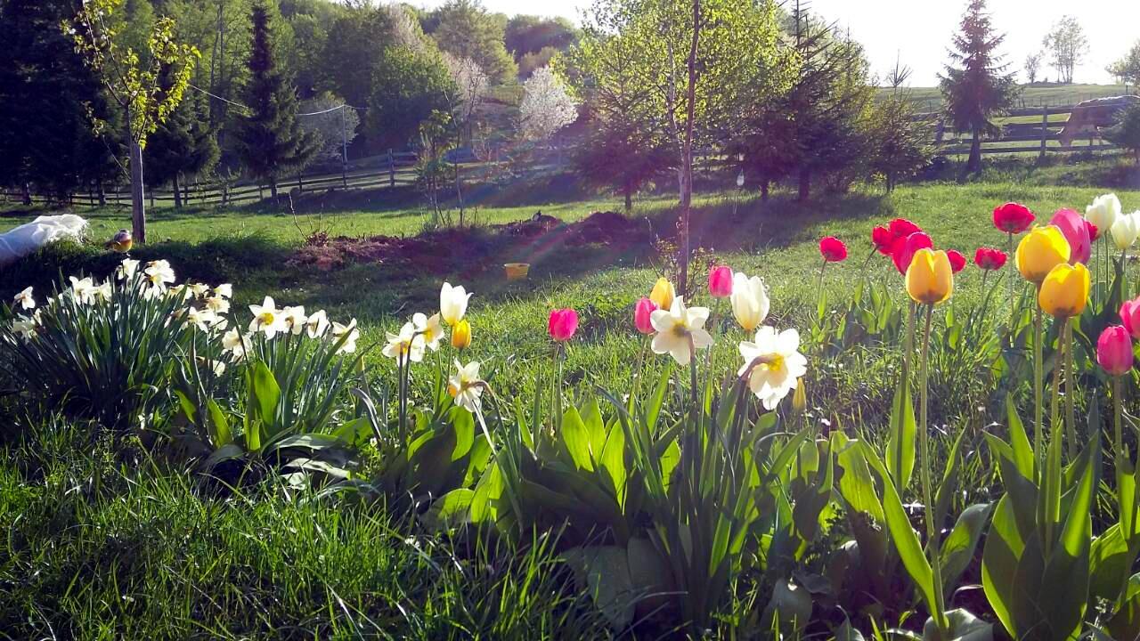 Sunnyside Βίλα Žabljak Εξωτερικό φωτογραφία